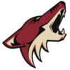 AZ Coyotes